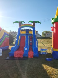 2024 09 21 08 39 41 023 1744842737 Shark Slide 15'