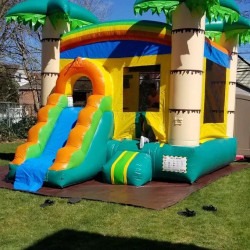 FB IMG 1744676546432 1744832032 Tropical Bounce House with Slide