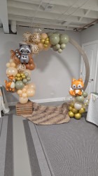 Snapchat 1369366398 1772659499 Wood Circle Arch